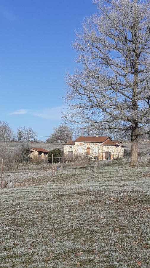 Bed and Breakfast Domaine De La Poyat Légny Zewnętrze zdjęcie