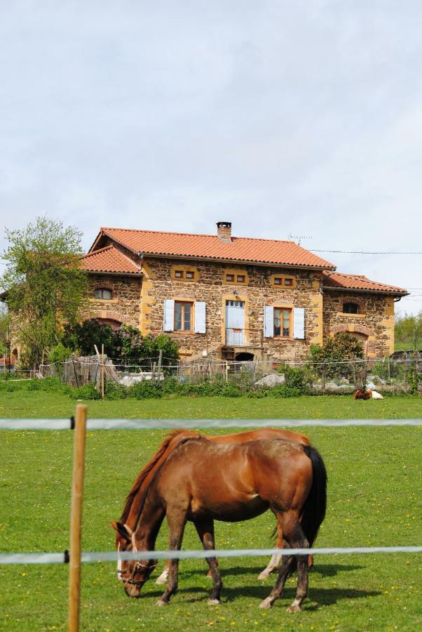 Bed and Breakfast Domaine De La Poyat Légny Zewnętrze zdjęcie